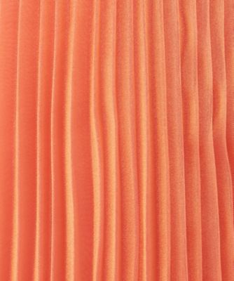 Ｄａｒｌｅｎｅ　ｐｌｅａｔｓ　ｓｋｉｒｔ　ＰＫ