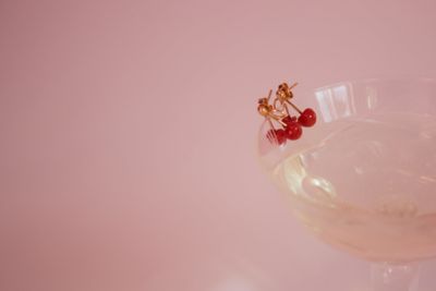 フランス発送 ALIITA 両耳ピアス CEREZA EARRINGS Cereza Gold Earrings - ALIITA