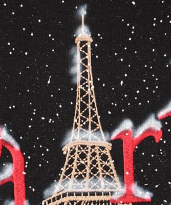 ＳＮＯＷ　ＩＮ　ＰＡＲＩＳ　ＨＯＯＤＩＥ