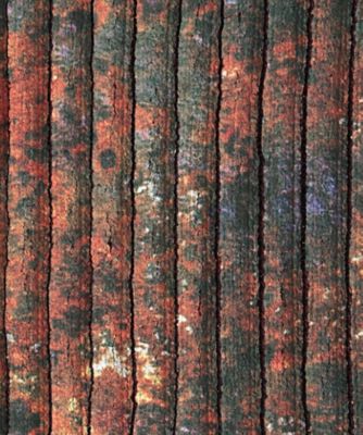 ＲＵＳＴ　ＰＲＩＮＴＥＤ　ＫＮＩＴ　ＰＡＮＴＳ