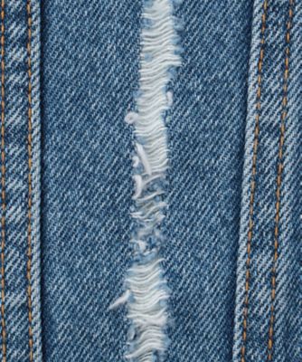 ＤＥＳＴＲＯＹＥＤ　ＤＥＮＩＭ　ＪＡＣＫＥＴ