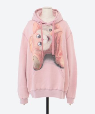 ＳＴＵＦＦＥＤ　ＲＡＢＢＩＴ　ＤＵＲＩＮＧ　ＢＲＥＡＫ　ＨＯＯＤＩＥ