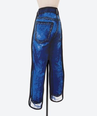 ＴＷＯ－ＤＩＭＥＮＳＩＯＮＡＬ　ＤＥＮＩＭ　ＰＡＮＴ　ＳＫＩＲＴ