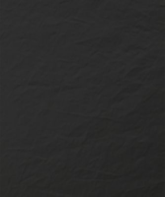 ＣＯＡＴＩＮＧ　ＳＣＩＥＮＴＩＳＴ　ＣＯＡＴ