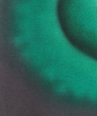 ＨＥＡＬＴＥＣＨ　ＡＩＲＢＲＵＳＨ　ＨＯＯＤＩＥ