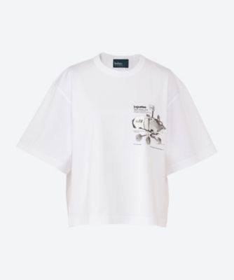 Kolor (Women)/カラー Ｔシャツ　Ｔ０８２０８