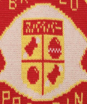 ＴＥＡＭ　ＳＰＩＢＥＲ　ＦＯＯＴＢＡＬＬ　ＳＣＡＲＦ　ＣＡＲＤＩＧＡＮ　５４ＫＮ１８４