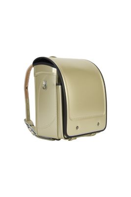 【送料無料】【２０２６年３月中旬以降届】カメレオンリー　スタンダードモデル　シャンパンゴールド×ブルーブラック