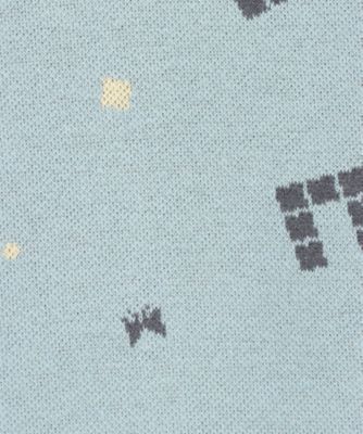 ブルゾン　ＡＣＡ８４２５Ｐ