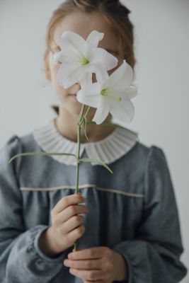 Ｐｅｔａｌ