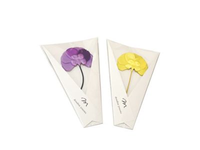ＣＯＲＳＡＧＥ　２４－０５３１