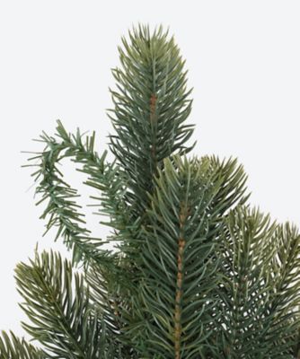 受注商品】シュヴァルツヴァルトツリー壁掛式60cm 金の星とレース