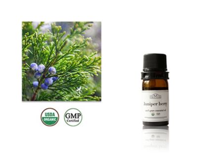 オーガニックエッセンシャルオイル ジュニパーベリー 三越伊勢丹オンラインストア 【公式】