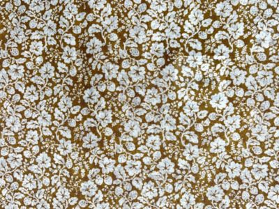 ショール L．W．B GAUZE SHAWL | R & D.M.Co