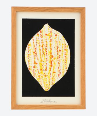 ＜山口一郎＞ＦＲＵＩＴＳ　ＬＥＭＯＮ　Ｓ
