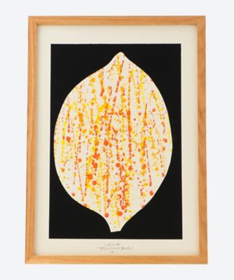 ＜山口一郎＞ＦＲＵＩＴＳ　ＬＥＭＯＮ　Ｍ