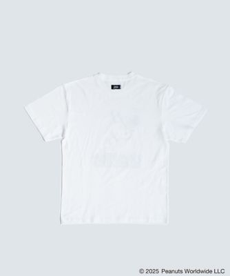 ＣＬＡＳＳＩＣ　Ｔｅｅ１