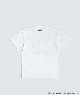 ＣＬＡＳＳＩＣ　Ｔｅｅ２