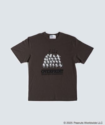 ＣＬＡＳＳＩＣ　Ｔｅｅ３