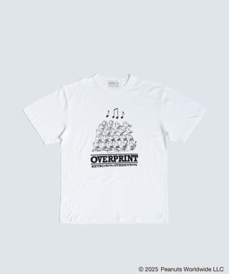 ＣＬＡＳＳＩＣ　Ｔｅｅ３