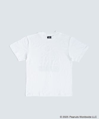 ＣＬＡＳＳＩＣ　Ｔｅｅ３