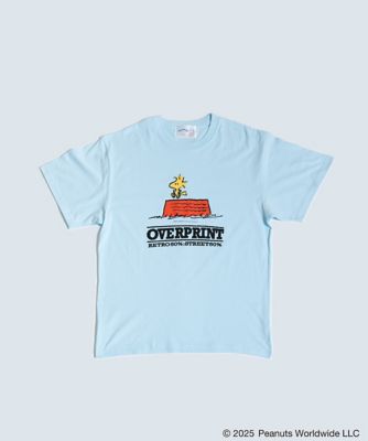 ＣＲＡＣＫ　Ｔｅｅ２