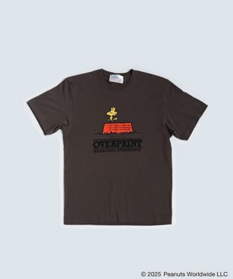 ＣＲＡＣＫ　Ｔｅｅ２