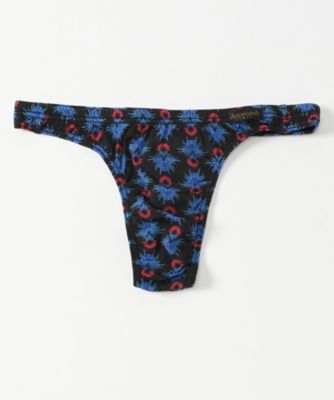 チランジア　Ｔバック