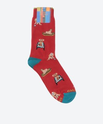 ＜GALLO＞犬モチーフソックス