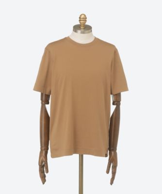 コットンジャージ半袖Ｔシャツ