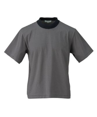 ミニボーダー　ハイネック半袖Ｔシャツ　８７０７５０８５ＭＮ８５１＿＿＿