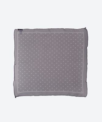 シフォンチーフ　４２／ＰＯ０７０－０２１／６０５２７０