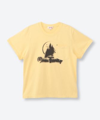 ＜MASU (Women)＞カットソー　６Ｓ／Ｍ２６Ｕ６ＣＳ００５