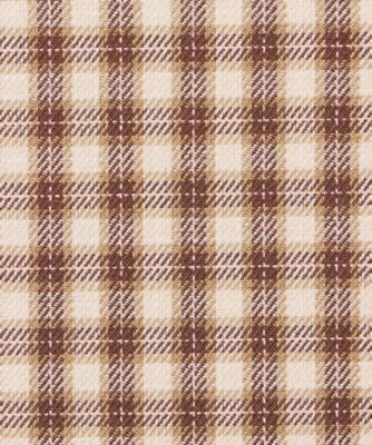 半袖シャツ Multi Check S／S Shirt 25S－8