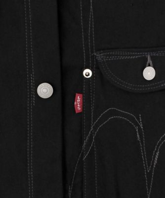 綿ウールサージ　Ｌｅｖｉｓ　Ｗネーム　ＷＮ―Ｊ９１３―１００