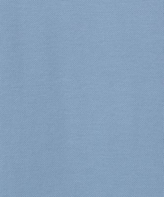 カジュアルシャツ　鹿の子無地　ＧＹ２５Ｓ／Ｓ／５５１５００ＬＳ