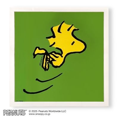edom (Men)/エドム 絵画 Woodstock-Green / Mini Edition