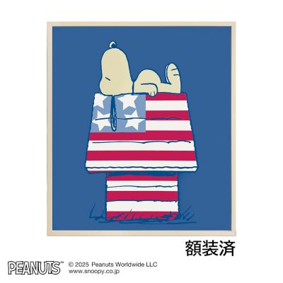 edom (Men)/エドム 絵画 Star and Stripes and Sleep