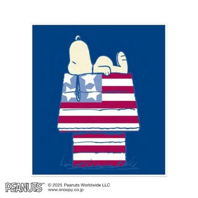 絵画　Ｓｔａｒ　ａｎｄ　Ｓｔｒｉｐｅｓ　ａｎｄ　Ｓｌｅｅｐ