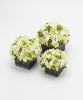 Nicolai Bergmann Flowers Design ニコライ バーグマン フラワーズ デザイン 三越伊勢丹オンラインストア 公式