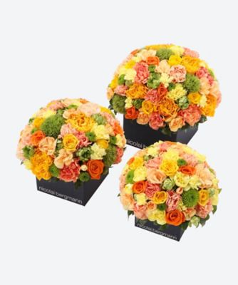 【新品・未使用】オアシス  Just for flowers 生花 プリザ 4本