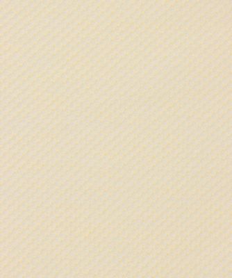 カジュアルシャツ　ＧＹ２５Ｓ／Ｓ／３４５０ＰＬ１９０ＳＫ０２＿ＳＴ