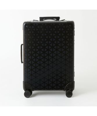 スーツケース　ＷＭ　ｘ　ＧＬＯＢＥ－ＴＲＯＴＴＥＲ　‘ＣＡＲＲＹ－ＯＮ’　ＷＭ２４７３８２０