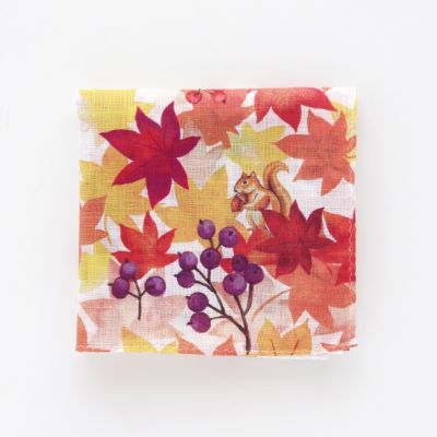 紅*覇様 ミヌク 個別サイン 8/29 名古屋 もみじ狩り 081238ー0080 | CLASSICS the Small