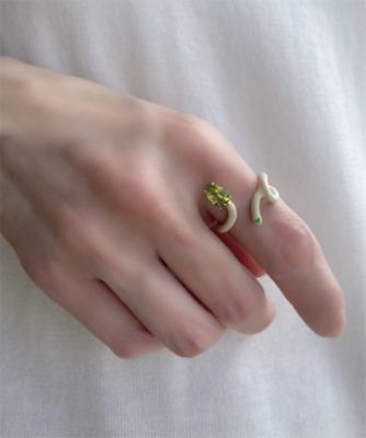 ベア・ボンジャスカ×アッシュ・ペー・フランス 40th リング