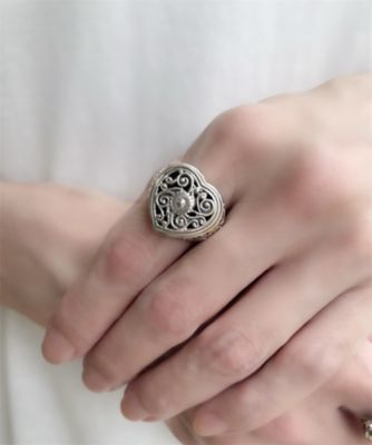 ジェロクリスト×アッシュ・ペー・フランス 40th リング