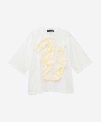 Ｔシャツ