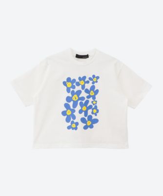 Ｔシャツ