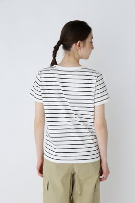 ◆オーガニック綿天竺半袖ボーダーＴシャツ（０７７４１６０３０７）