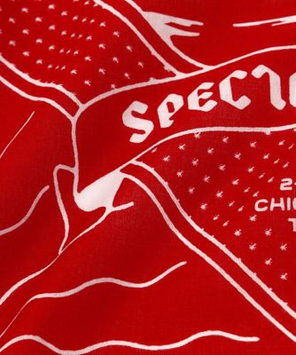 Ａｎｎｉｖｅｒｓａｒｙ　Ｂａｎｄａｎａ（０７７５９９９４１５）